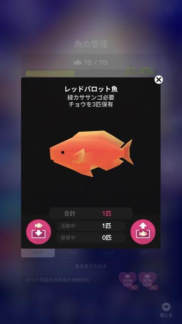 レッドパロット魚